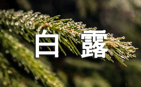 白露节气唯美说说