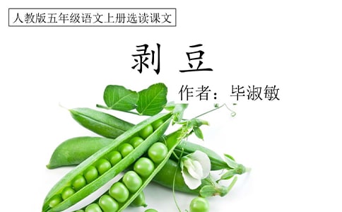 剥豆读后感