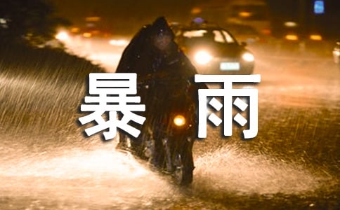 暴雨的作文300字【优选3篇】