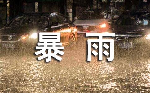 暴雨作文300字（精选）