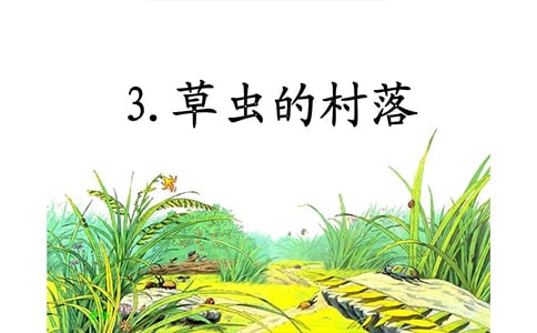 《草虫的村落》读后感