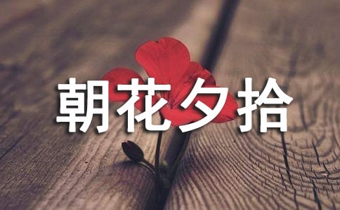 朝花夕拾心得体会【精选】