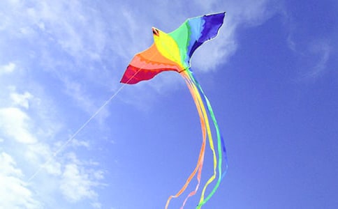 关于风筝节策划书7篇