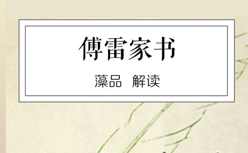 傅雷家书读后感【精品15篇】