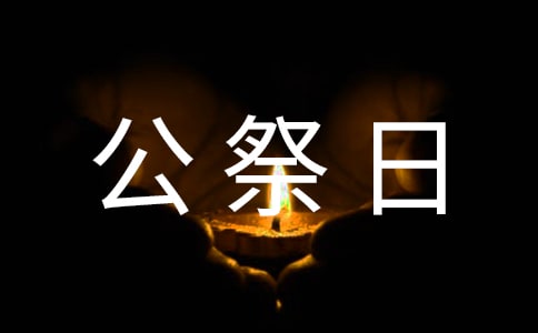 国家公祭日-小学生日记50字大全