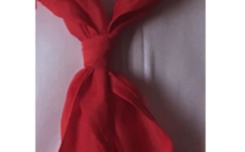 红领巾,相约中国梦作文
