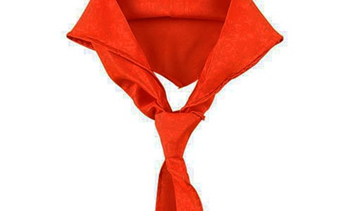红领巾，相约中国梦作文（通用27篇）