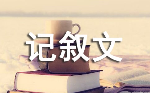 有关记叙文作文300字3篇