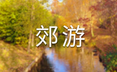 去郊游作文300字