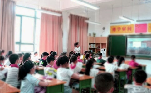 小学低年级教学工作总结