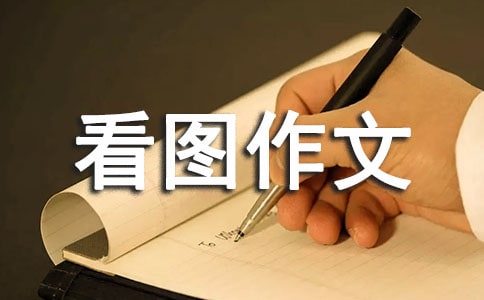 六年级上册看图作文汇总九篇