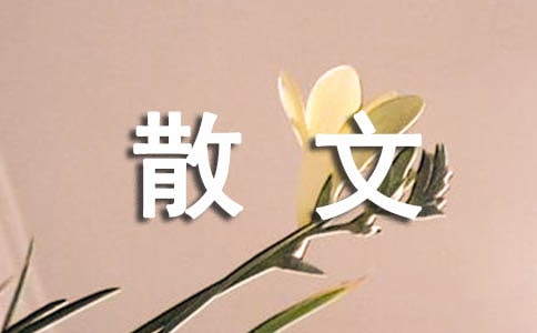 散文的特点