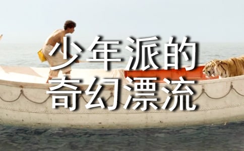 少年派的奇幻漂流读后感11篇