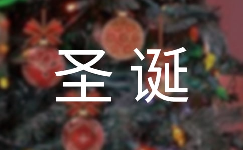 圣诞节的作文300字汇总6篇