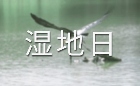 世界湿地日宣传活动总结