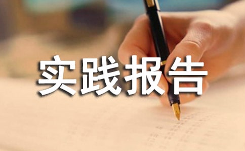 暑假社会实践报告【合集】