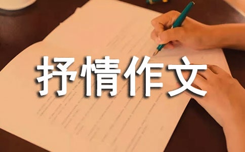 关于抒情作文600字4篇