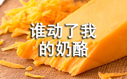 《谁动了我的奶酪》读后感大全15篇