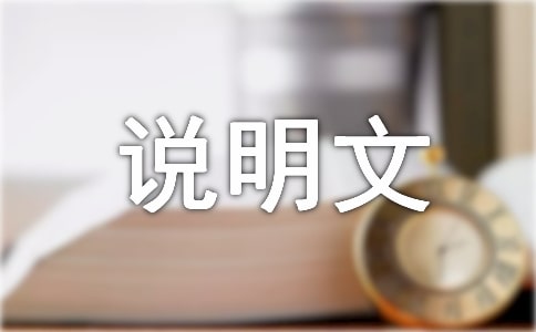 说明文写作技巧