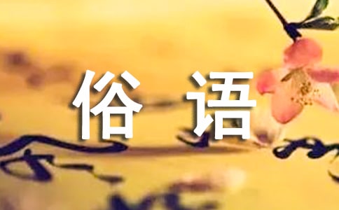 a lemon的俗语意思是什么