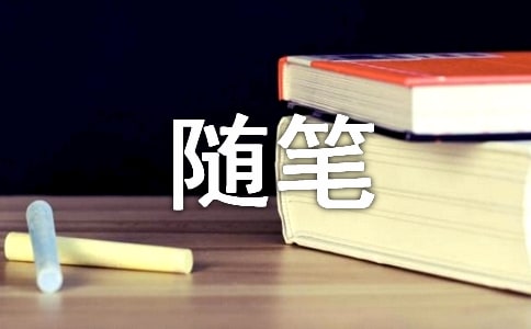 随笔作文300字[精]