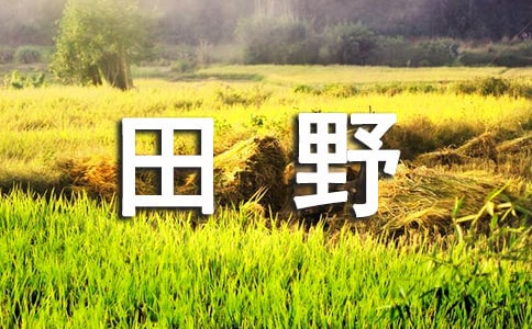 精选乡村田野的作文300字四篇