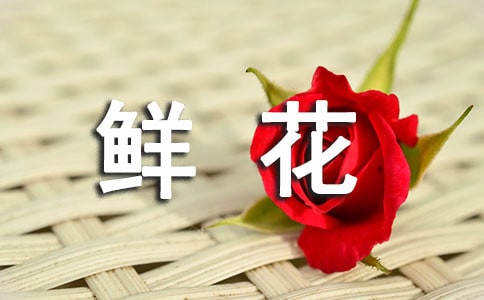 有关鲜花作文300字5篇