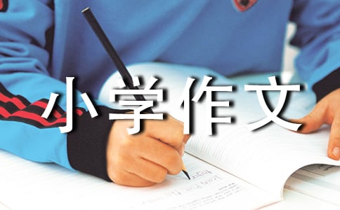 小学作文300字精选[3篇]