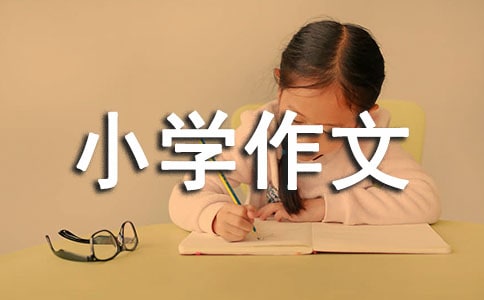 小学作文300字4篇