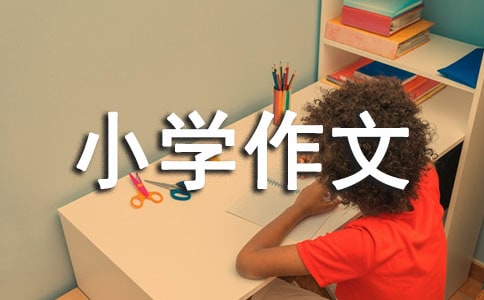 小学作文300字（集合4篇）