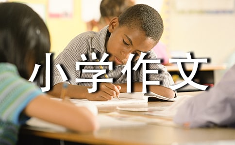 小学作文300字4篇[精选]