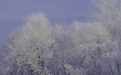 【热门】小雪祝福语