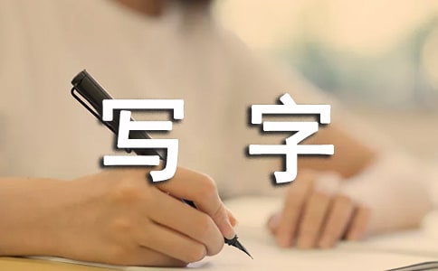 小学生写字比赛活动总结