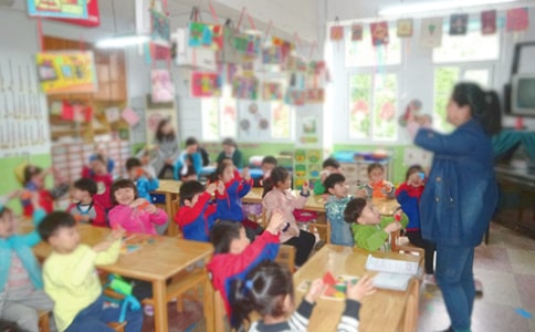 幼儿园保教质量活动方案