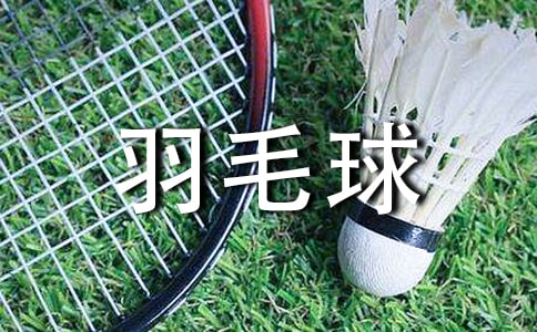 羽毛球赛策划书(15篇)