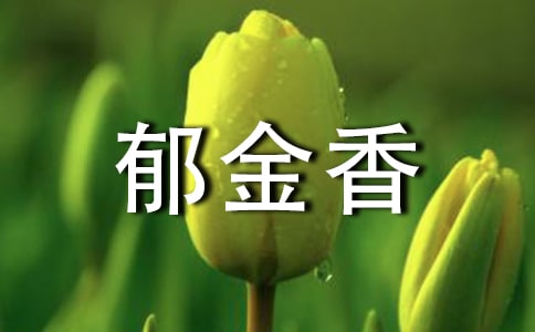 郁金香能放室内吗