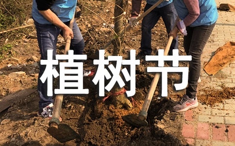 【优】植树节活动总结