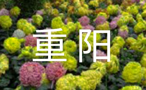 中班重阳活动方案14篇